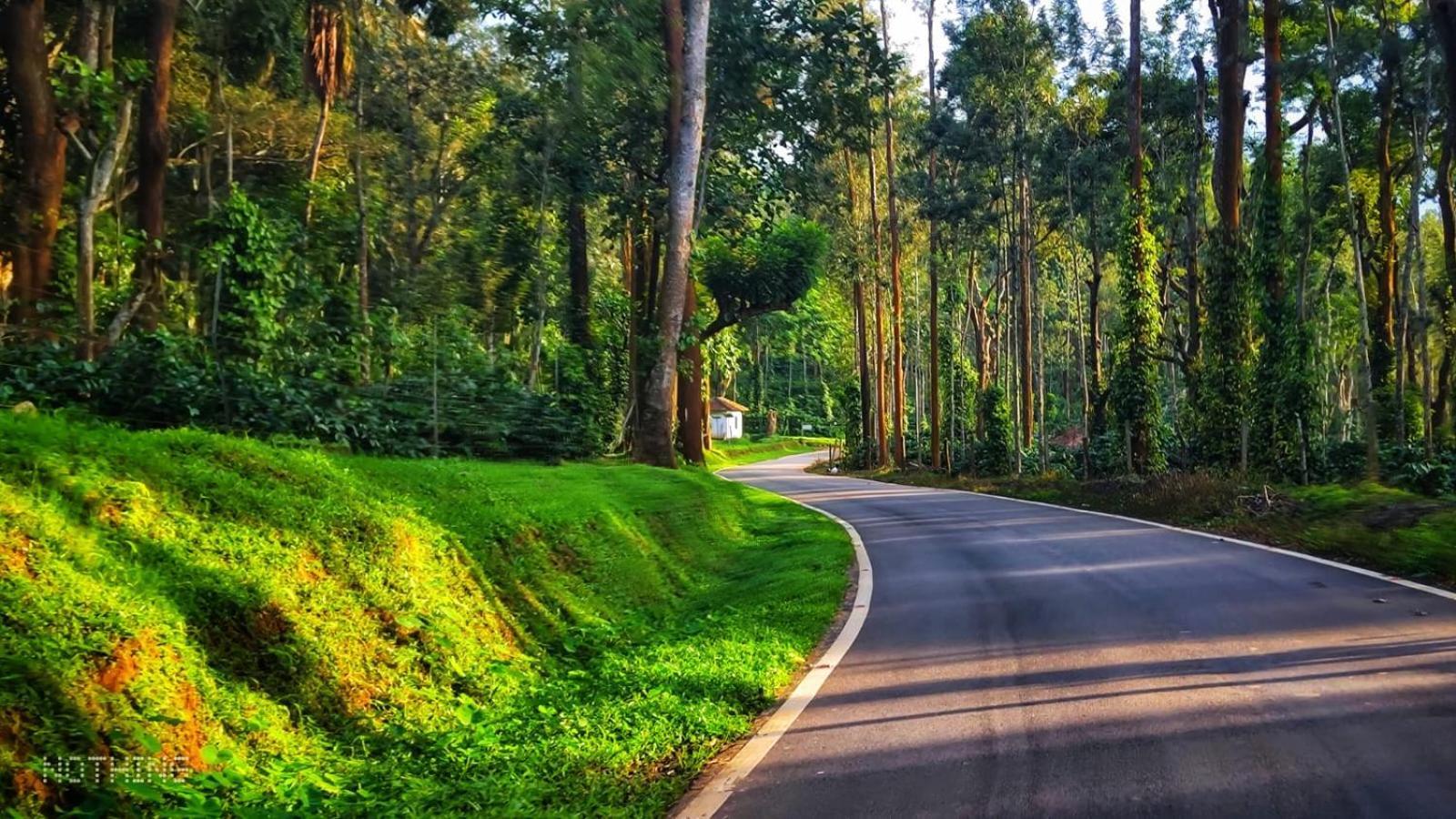 Coorg Divine Spark Home Stay Suntikoppa 외부 사진