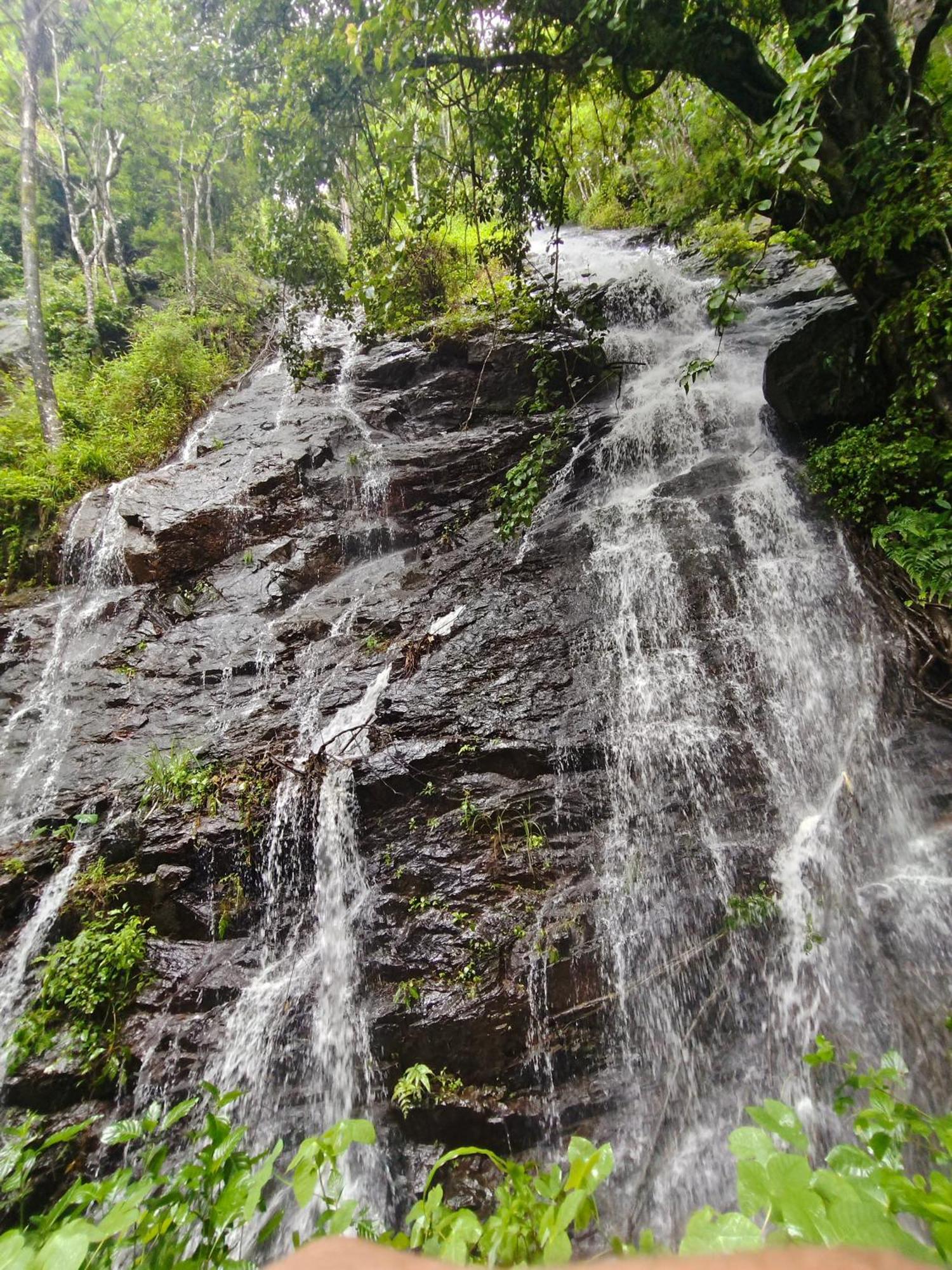 Coorg Divine Spark Home Stay Suntikoppa 외부 사진